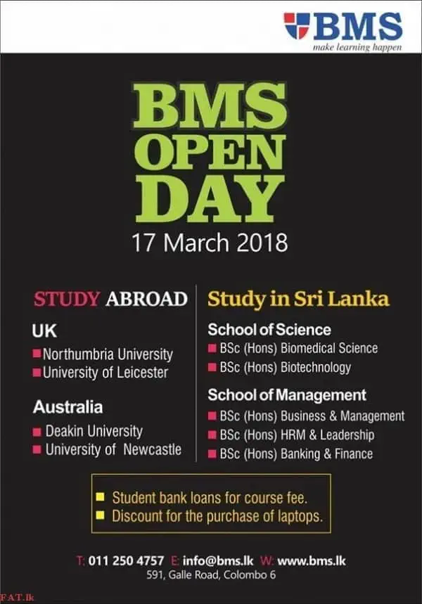 Study Abroad - UK / Australia
