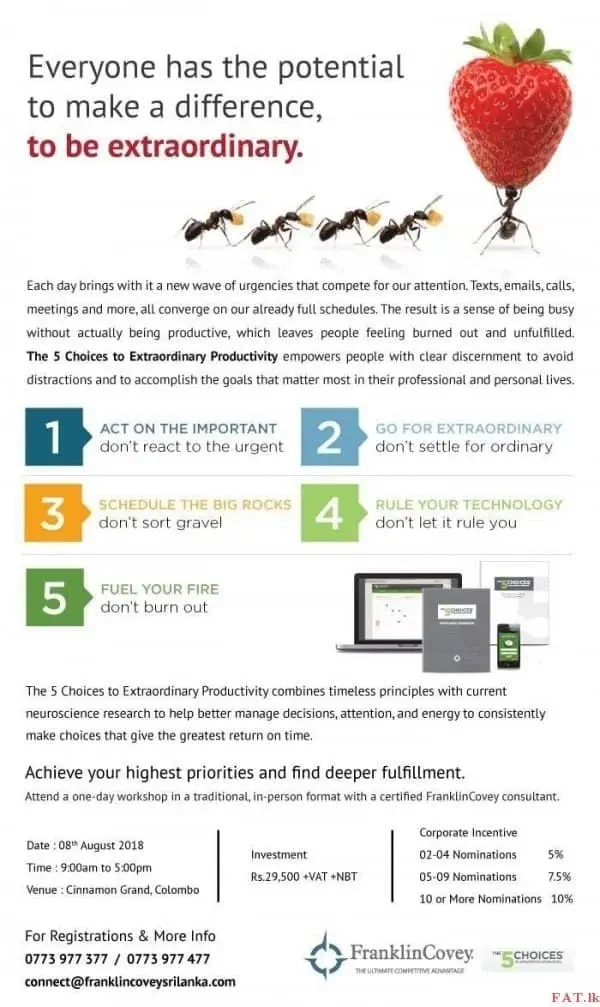 Harness the Power of Extraordinary Productivity