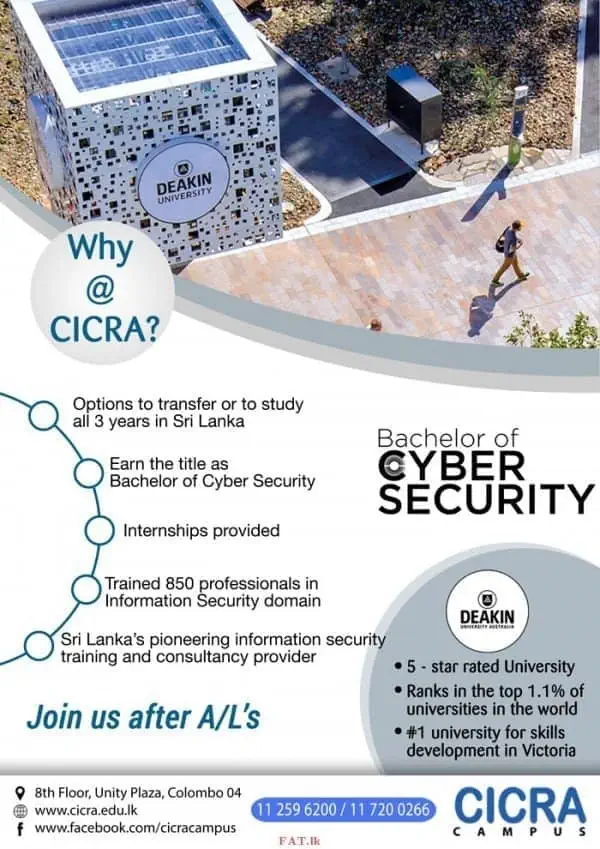 Bachelor's in Cyber Security
