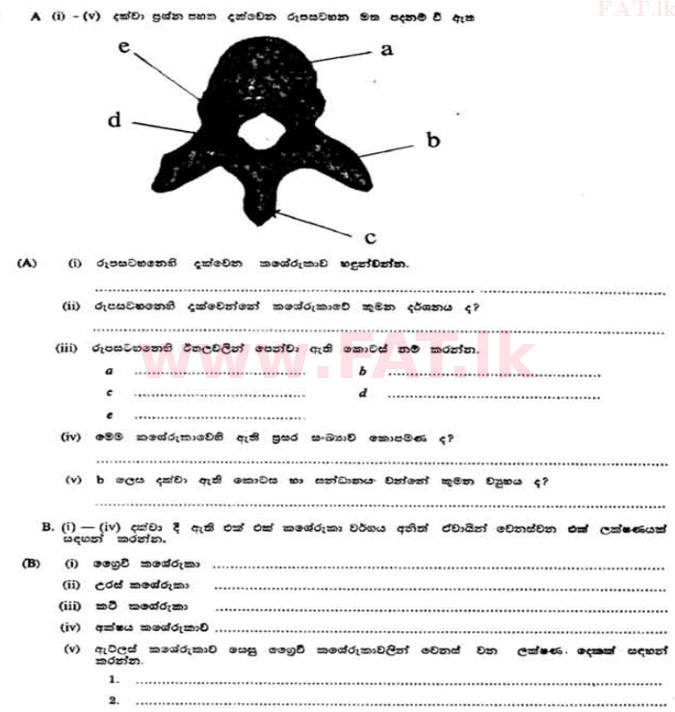 National Syllabus : Advanced Level (A/L) Zoology - 1991 August - Paper II A (සිංහල Medium) 2 1