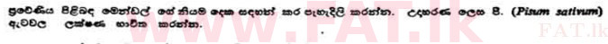 உள்ளூர் பாடத்திட்டம் : உயர்தரம் (உ/த) விலங்கியல் - 1991 ஆகஸ்ட் - தாள்கள் II B (සිංහල மொழிமூலம்) 4 1