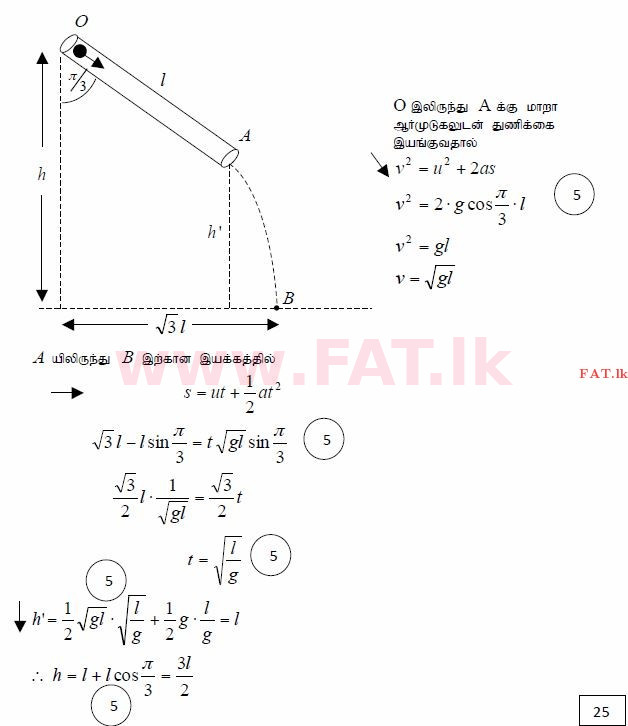 உள்ளூர் பாடத்திட்டம் : உயர்தரம் (உ/த) இணைந்த கணிதம் - 2015 ஆகஸ்ட் - தாள்கள் II (தமிழ் மொழிமூலம்) 2 3910