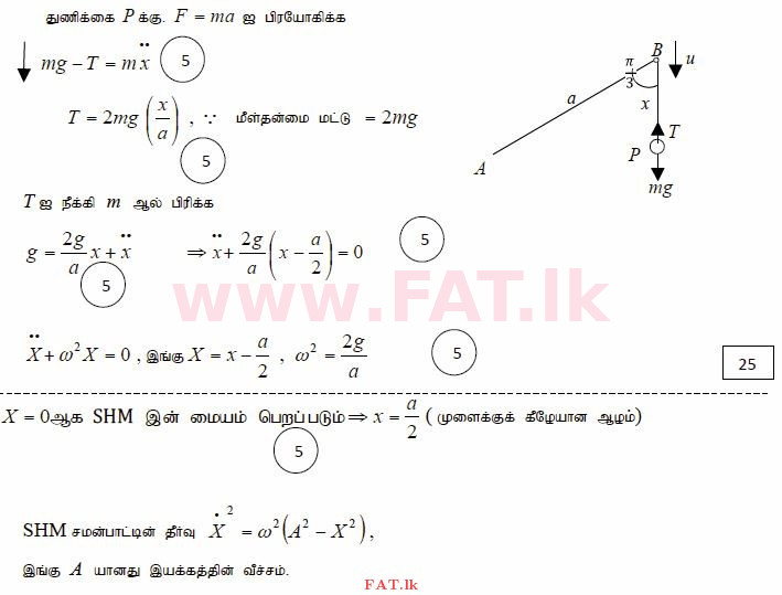உள்ளூர் பாடத்திட்டம் : உயர்தரம் (உ/த) இணைந்த கணிதம் - 2015 ஆகஸ்ட் - தாள்கள் II (தமிழ் மொழிமூலம்) 13 3926