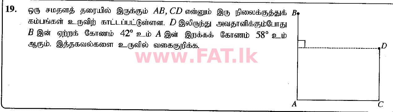 உள்ளூர் பாடத்திட்டம் : சாதாரண நிலை (சா/த) கணிதம் - 2019 டிசம்பர் - தாள்கள் I (தமிழ் மொழிமூலம்) 19 1
