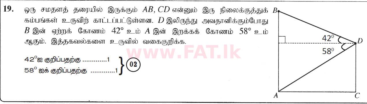 உள்ளூர் பாடத்திட்டம் : சாதாரண நிலை (சா/த) கணிதம் - 2019 டிசம்பர் - தாள்கள் I (தமிழ் மொழிமூலம்) 19 5535