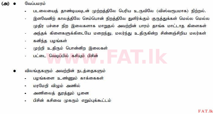 உள்ளூர் பாடத்திட்டம் : சாதாரண நிலை (சா/த) தமிழ் மொழியும் இலக்கியமும் - 2015 டிசம்பர் - தாள்கள் III (தமிழ் மொழிமூலம்) 5 596