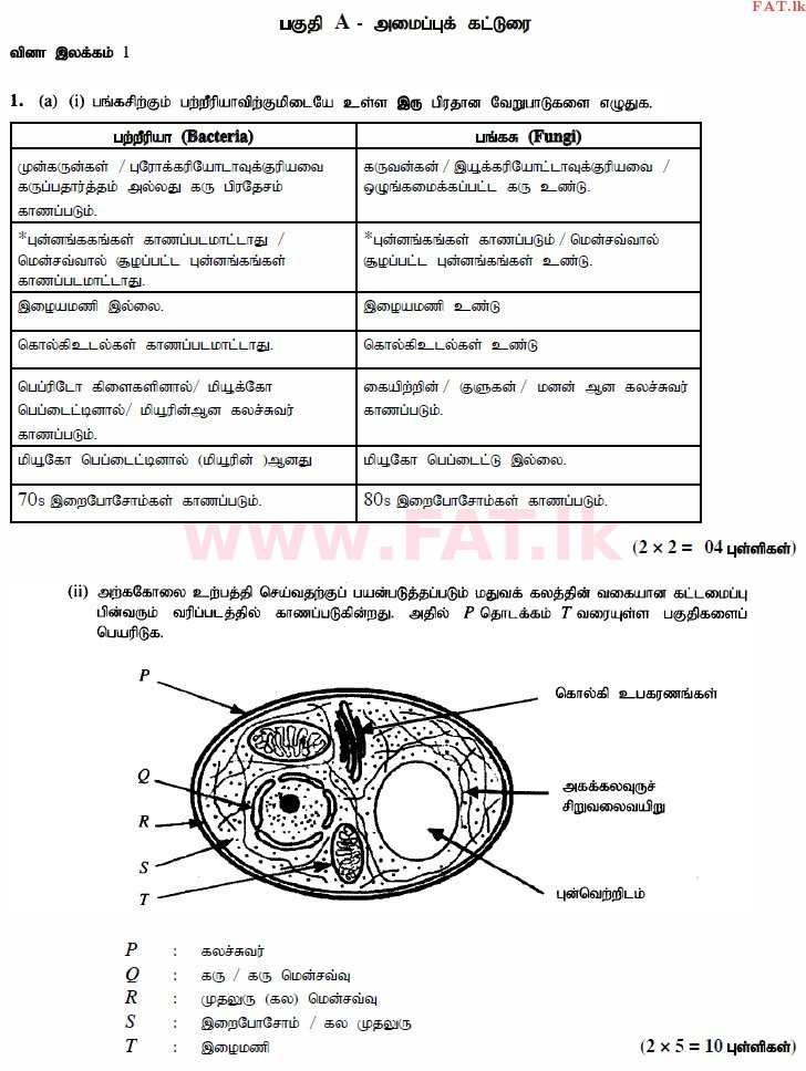 National Syllabus : Advanced Level (A/L) Science for Technology - 2015 August - Paper II (தமிழ் Medium) 1 4155