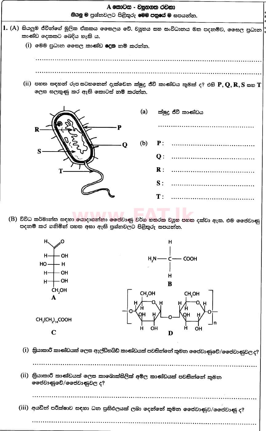National Syllabus Advanced Level (A/L) Science for Technology 2020