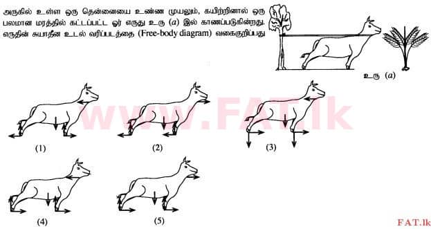 දේශීය විෂය නිර්දේශය : උසස් පෙළ (A/L) භෞතික විද්‍යාව - 2015 අගෝස්තු - ප්‍රශ්න පත්‍රය I (தமிழ் මාධ්‍යය) 7 1