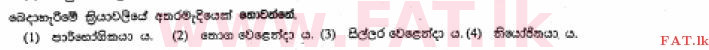 உள்ளூர் பாடத்திட்டம் : சாதாரண நிலை (சா/த) வர்த்தகக் கல்வி மற்றும் கணக்கியல் - 2013 டிசம்பர் - தாள்கள் I (සිංහල மொழிமூலம்) 4 2