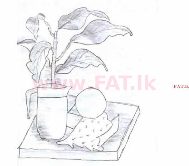 உள்ளூர் பாடத்திட்டம் : சாதாரண நிலை (சா/த) சித்திரம் - 2013 டிசம்பர் - தாள்கள் II (සිංහල மொழிமூலம்) 1 1257