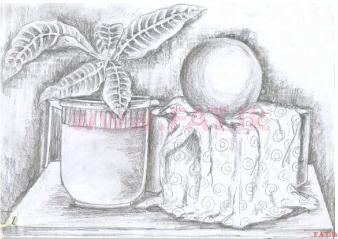 உள்ளூர் பாடத்திட்டம் : சாதாரண நிலை (சா/த) சித்திரம் - 2013 டிசம்பர் - தாள்கள் II (සිංහල மொழிமூலம்) 1 1259