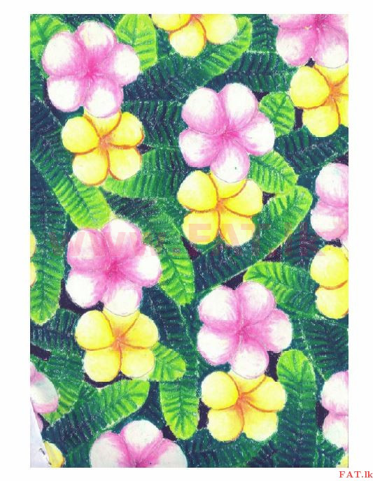 உள்ளூர் பாடத்திட்டம் : சாதாரண நிலை (சா/த) சித்திரம் - 2013 டிசம்பர் - தாள்கள் II (සිංහල மொழிமூலம்) 2 1263