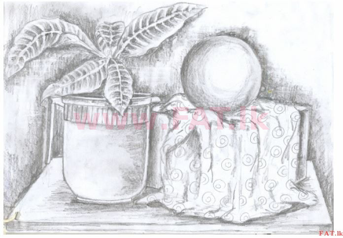 உள்ளூர் பாடத்திட்டம் : சாதாரண நிலை (சா/த) சித்திரம் - 2013 டிசம்பர் - தாள்கள் II (தமிழ் மொழிமூலம்) 1 1307