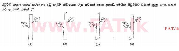 உள்ளூர் பாடத்திட்டம் : சாதாரண நிலை (சா/த) விவசாயமும் உணவுத் தொழில்நுட்பமும். - 2011 டிசம்பர் - தாள்கள் I (සිංහල மொழிமூலம்) 34 1