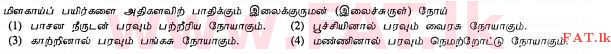 உள்ளூர் பாடத்திட்டம் : சாதாரண நிலை (சா/த) விவசாயமும் உணவுத் தொழில்நுட்பமும். - 2011 டிசம்பர் - தாள்கள் I (தமிழ் மொழிமூலம்) 20 1