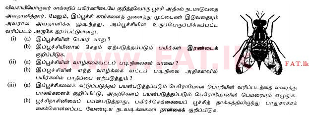 உள்ளூர் பாடத்திட்டம் : சாதாரண நிலை (சா/த) விவசாயமும் உணவுத் தொழில்நுட்பமும். - 2011 டிசம்பர் - தாள்கள் II (தமிழ் மொழிமூலம்) 4 1