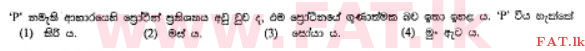 National Syllabus : Ordinary Level (O/L) Home Economics - 2011 December - Paper I (සිංහල Medium) 8 1