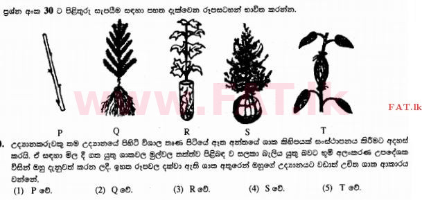 உள்ளூர் பாடத்திட்டம் : உயர்தரம் (உ/த) உயிரியல் அமைப்புத் தொழில்நுட்பம் - 2015 ஆகஸ்ட் - தாள்கள் I (සිංහල மொழிமூலம்) 30 1