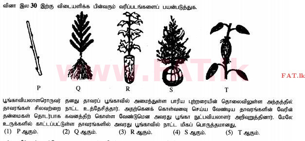 உள்ளூர் பாடத்திட்டம் : உயர்தரம் (உ/த) உயிரியல் அமைப்புத் தொழில்நுட்பம் - 2015 ஆகஸ்ட் - தாள்கள் I (தமிழ் மொழிமூலம்) 30 1