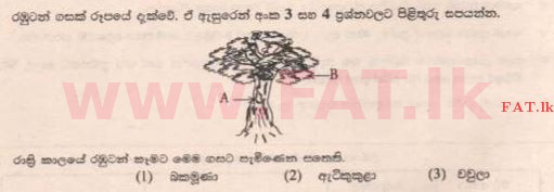 දේශීය විෂය නිර්දේශය : ශිෂ්‍යත්ව විභාගය 5 ශ්‍රේණිය - 2015 අගෝස්තු - ප්‍රශ්න පත්‍රය I (සිංහල මාධ්‍යය) 3 1