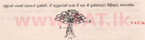 දේශීය විෂය නිර්දේශය : ශිෂ්‍යත්ව විභාගය 5 ශ්‍රේණිය - 2015 අගෝස්තු - ප්‍රශ්න පත්‍රය I (සිංහල මාධ්‍යය) 4 1