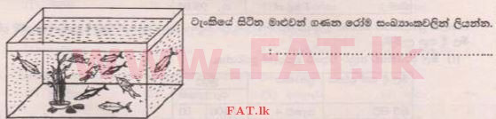 National Syllabus : Scholarship Exam Grade 5 - 2015 August - Paper I A (සිංහල Medium) 21 1
