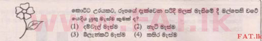 உள்ளூர் பாடத்திட்டம் : புலமைப்பரிசில் பரீட்சை தரம் 5 - 2015 ஆகஸ்ட் - தாள்கள் II B (සිංහල மொழிமூலம்) 12 1