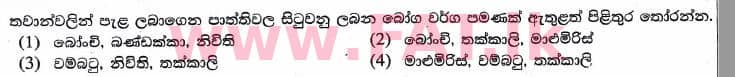 உள்ளூர் பாடத்திட்டம் : புலமைப்பரிசில் பரீட்சை தரம் 5 - 2017 ஆகஸ்ட் - தாள்கள் II (සිංහල மொழிமூலம்) 46 1