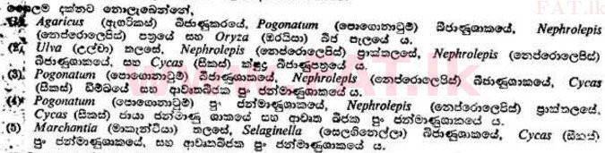 දේශීය විෂය නිර්දේශය : උසස් පෙළ (A/L) උද්භිත විද්‍යාව - 1989 අගෝස්තු - ප්‍රශ්න පත්‍රය I (සිංහල මාධ්‍යය) 11 1