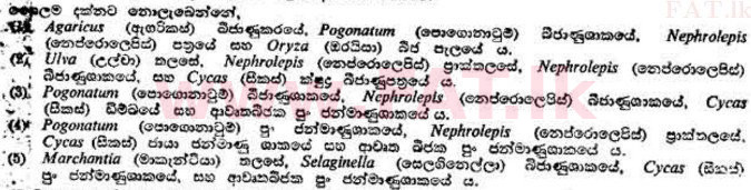 National Syllabus : Advanced Level (A/L) Botany - 1989 August - Paper I (සිංහල Medium) 11 1