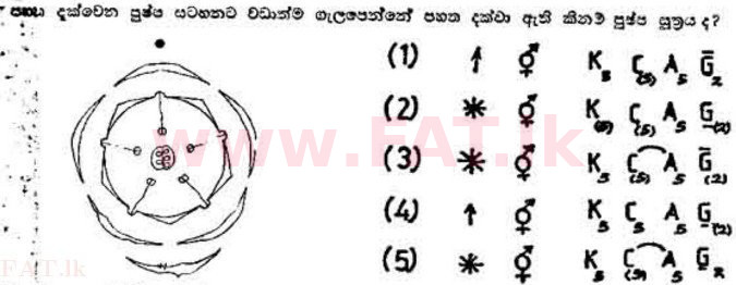 දේශීය විෂය නිර්දේශය : උසස් පෙළ (A/L) උද්භිත විද්‍යාව - 1989 අගෝස්තු - ප්‍රශ්න පත්‍රය I (සිංහල මාධ්‍යය) 13 1