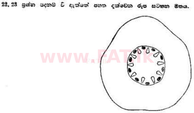 දේශීය විෂය නිර්දේශය : උසස් පෙළ (A/L) උද්භිත විද්‍යාව - 1989 අගෝස්තු - ප්‍රශ්න පත්‍රය I (සිංහල මාධ්‍යය) 23 1