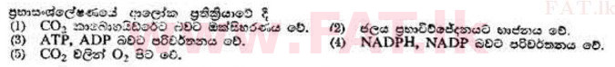 දේශීය විෂය නිර්දේශය : උසස් පෙළ (A/L) උද්භිත විද්‍යාව - 1989 අගෝස්තු - ප්‍රශ්න පත්‍රය I (සිංහල මාධ්‍යය) 24 1