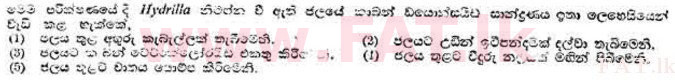 දේශීය විෂය නිර්දේශය : උසස් පෙළ (A/L) උද්භිත විද්‍යාව - 1989 අගෝස්තු - ප්‍රශ්න පත්‍රය I (සිංහල මාධ්‍යය) 27 2