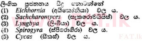 දේශීය විෂය නිර්දේශය : උසස් පෙළ (A/L) උද්භිත විද්‍යාව - 1989 අගෝස්තු - ප්‍රශ්න පත්‍රය I (සිංහල මාධ්‍යය) 35 1