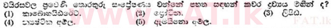 உள்ளூர் பாடத்திட்டம் : உயர்தரம் (உ/த) தாவரவியல் - 1989 ஆகஸ்ட் - தாள்கள் I (සිංහල மொழிமூலம்) 38 1