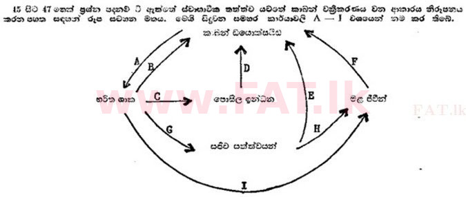 உள்ளூர் பாடத்திட்டம் : உயர்தரம் (உ/த) தாவரவியல் - 1989 ஆகஸ்ட் - தாள்கள் I (සිංහල மொழிமூலம்) 45 1