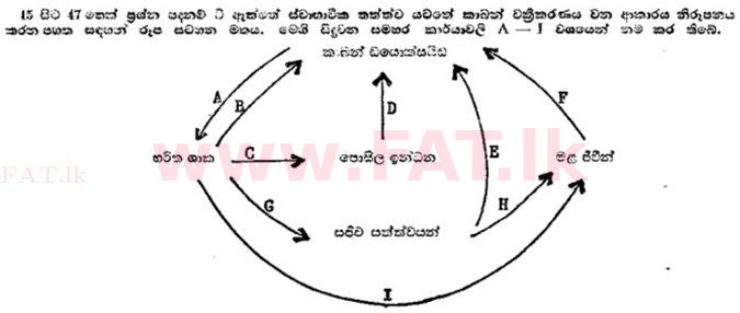 දේශීය විෂය නිර්දේශය : උසස් පෙළ (A/L) උද්භිත විද්‍යාව - 1989 අගෝස්තු - ප්‍රශ්න පත්‍රය I (සිංහල මාධ්‍යය) 47 1