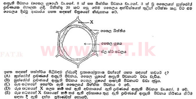 உள்ளூர் பாடத்திட்டம் : உயர்தரம் (உ/த) தாவரவியல் - 1989 ஆகஸ்ட் - தாள்கள் I (සිංහල மொழிமூலம்) 52 2