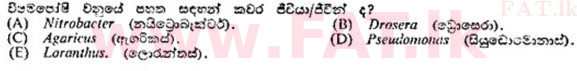 உள்ளூர் பாடத்திட்டம் : உயர்தரம் (உ/த) தாவரவியல் - 1989 ஆகஸ்ட் - தாள்கள் I (සිංහල மொழிமூலம்) 60 2