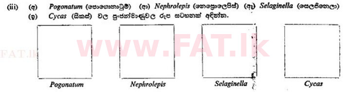 දේශීය විෂය නිර්දේශය : උසස් පෙළ (A/L) උද්භිත විද්‍යාව - 1989 අගෝස්තු - ප්‍රශ්න පත්‍රය II A (සිංහල මාධ්‍යය) 1 2