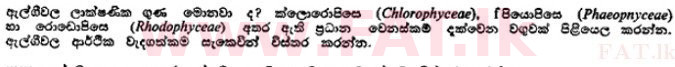 දේශීය විෂය නිර්දේශය : උසස් පෙළ (A/L) උද්භිත විද්‍යාව - 1989 අගෝස්තු - ප්‍රශ්න පත්‍රය II B (සිංහල මාධ්‍යය) 1 1