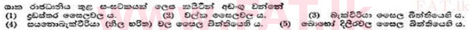දේශීය විෂය නිර්දේශය : උසස් පෙළ (A/L) උද්භිත විද්‍යාව - 1991 අගෝස්තු - ප්‍රශ්න පත්‍රය I (සිංහල මාධ්‍යය) 3 1