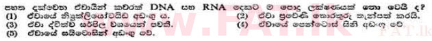දේශීය විෂය නිර්දේශය : උසස් පෙළ (A/L) උද්භිත විද්‍යාව - 1991 අගෝස්තු - ප්‍රශ්න පත්‍රය I (සිංහල මාධ්‍යය) 4 1