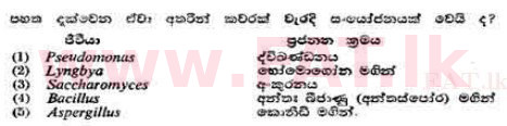 දේශීය විෂය නිර්දේශය : උසස් පෙළ (A/L) උද්භිත විද්‍යාව - 1991 අගෝස්තු - ප්‍රශ්න පත්‍රය I (සිංහල මාධ්‍යය) 9 1