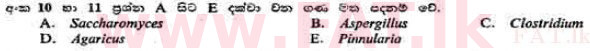 දේශීය විෂය නිර්දේශය : උසස් පෙළ (A/L) උද්භිත විද්‍යාව - 1991 අගෝස්තු - ප්‍රශ්න පත්‍රය I (සිංහල මාධ්‍යය) 10 1