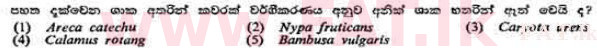 දේශීය විෂය නිර්දේශය : උසස් පෙළ (A/L) උද්භිත විද්‍යාව - 1991 අගෝස්තු - ප්‍රශ්න පත්‍රය I (සිංහල මාධ්‍යය) 13 1