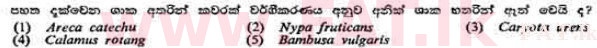 National Syllabus : Advanced Level (A/L) Botany - 1991 August - Paper I (සිංහල Medium) 13 1