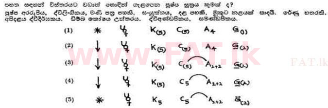 දේශීය විෂය නිර්දේශය : උසස් පෙළ (A/L) උද්භිත විද්‍යාව - 1991 අගෝස්තු - ප්‍රශ්න පත්‍රය I (සිංහල මාධ්‍යය) 16 1